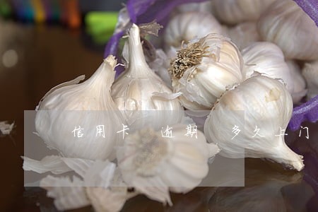信用卡 逾期 多久上门 信用卡 逾期 多久上门
